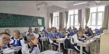 中学学校最新爆料,独家内幕大公开!